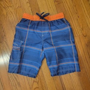 Big Chill Boys Swim Trunks